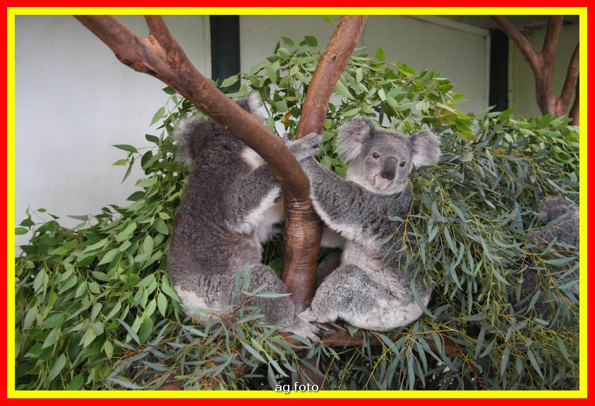 09_Australia 311_tm.jpg
